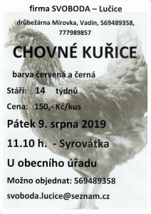 prodej kuřic 20190809