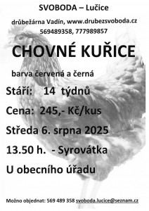 prodej kuřic 20250806
