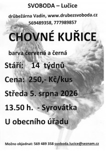 prodej kuřic 20260805