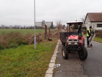 začátek odstraňování stromů 04.12.2017